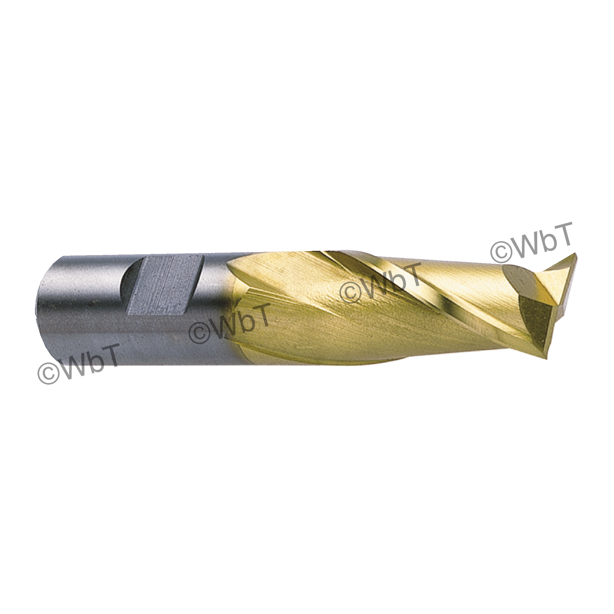 2 Flute High Speed Steel Coated Single End Mill
