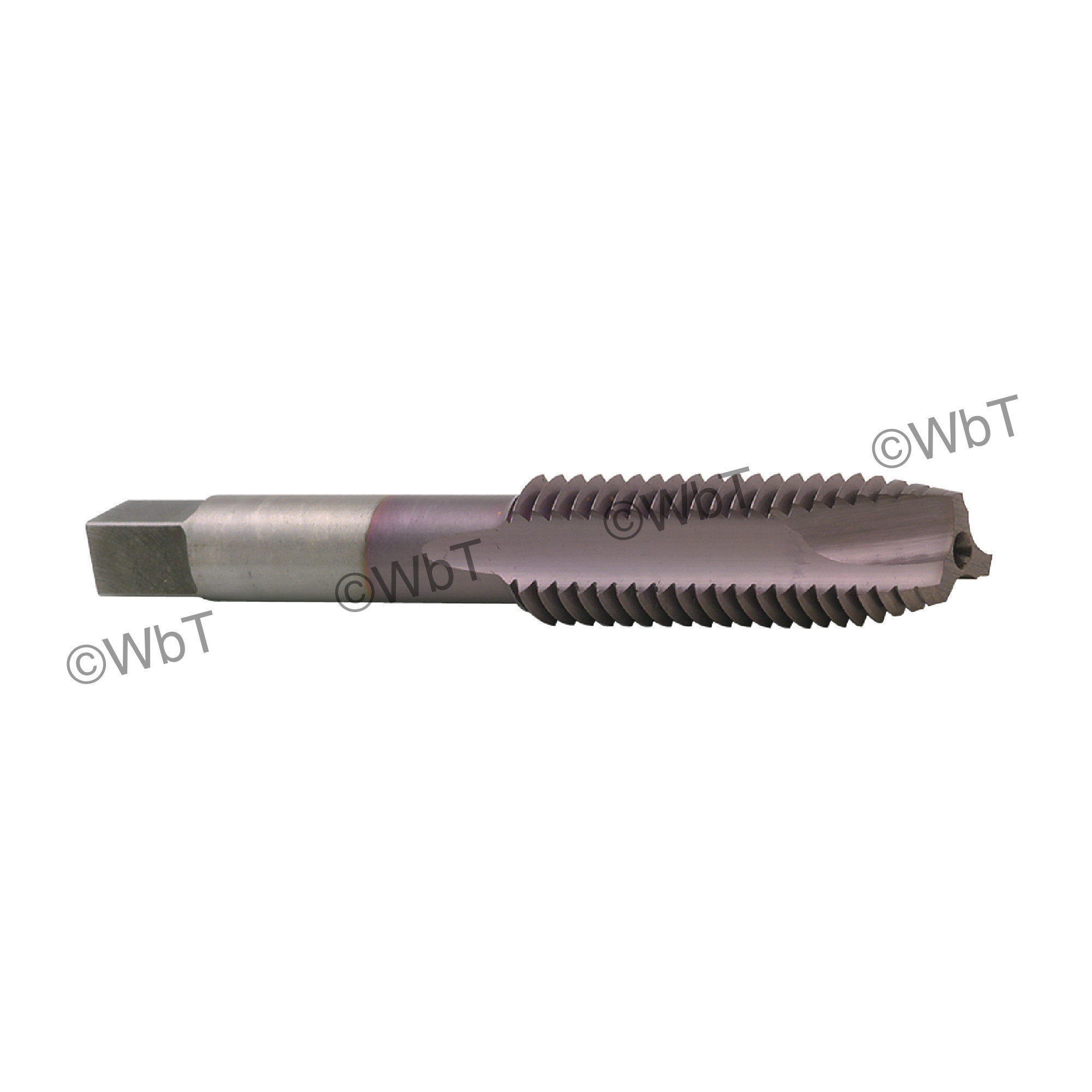 High Speed Steel Coated Spiral Pointed Plug Taps