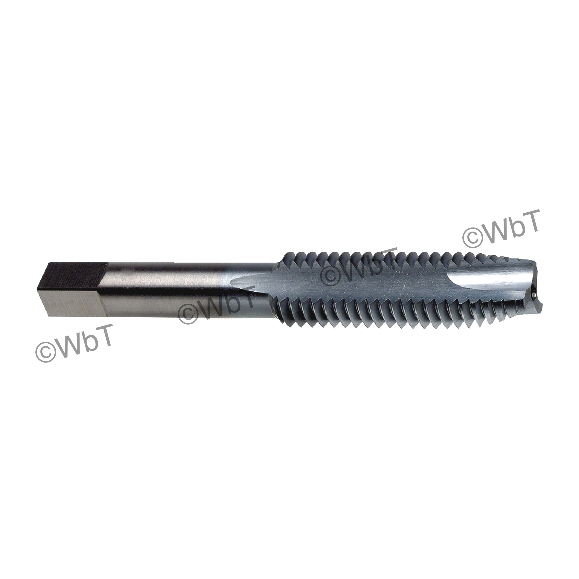 High Speed Steel Coated Spiral Pointed Plug Taps