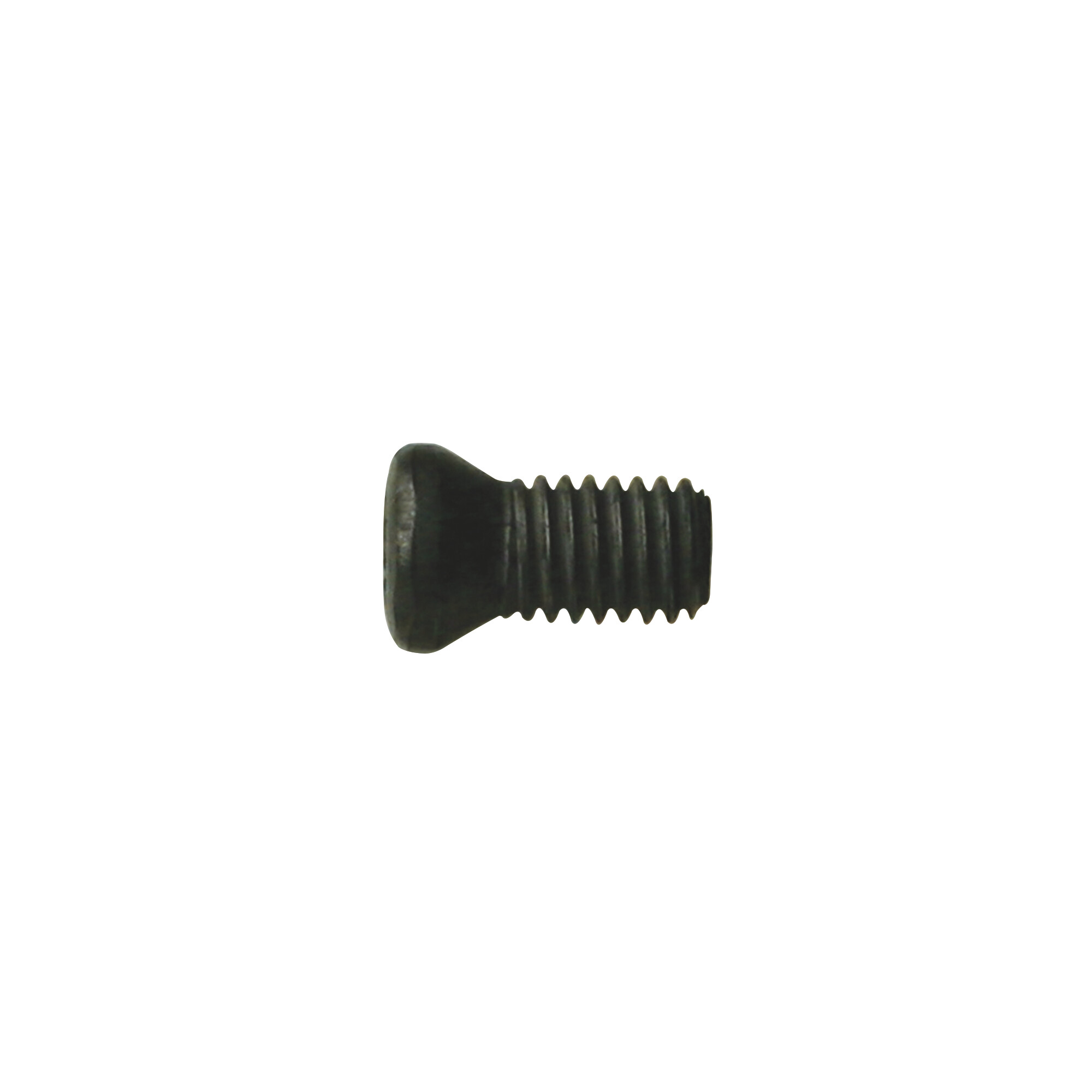 WALTER - FS1456 Torx&reg; Screw