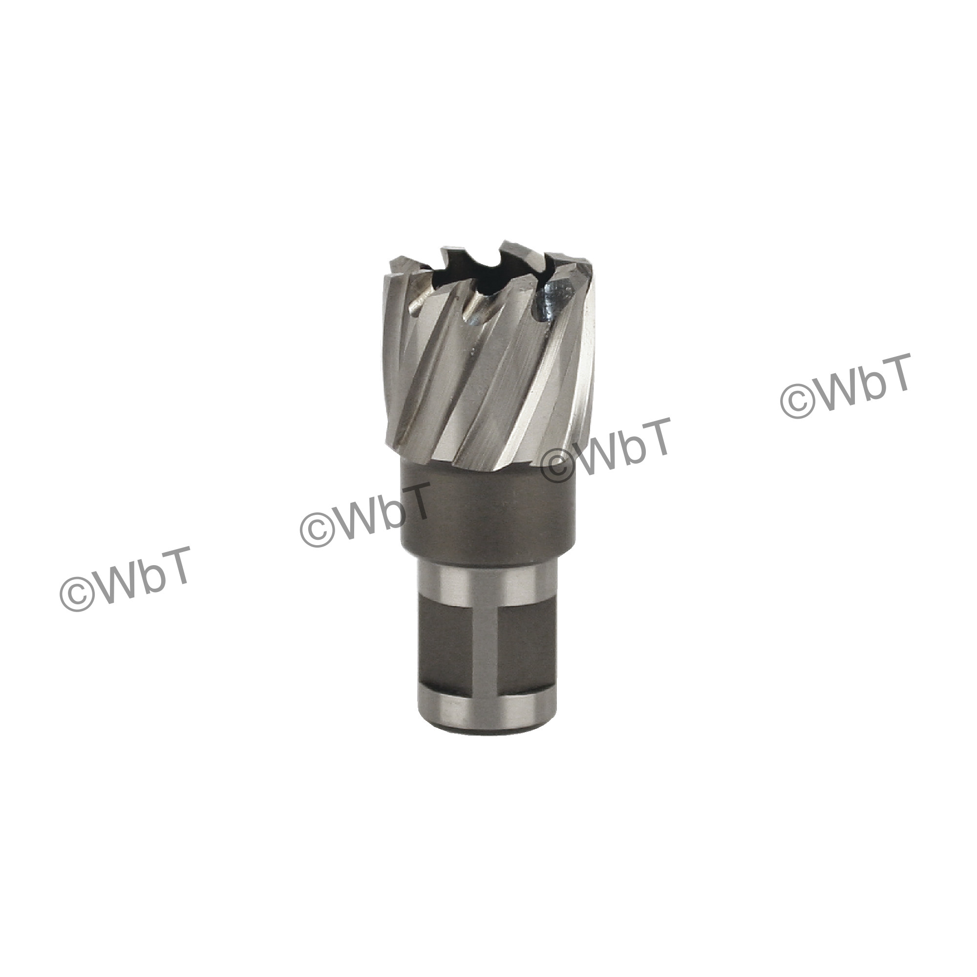 Annular Cutters & Tools