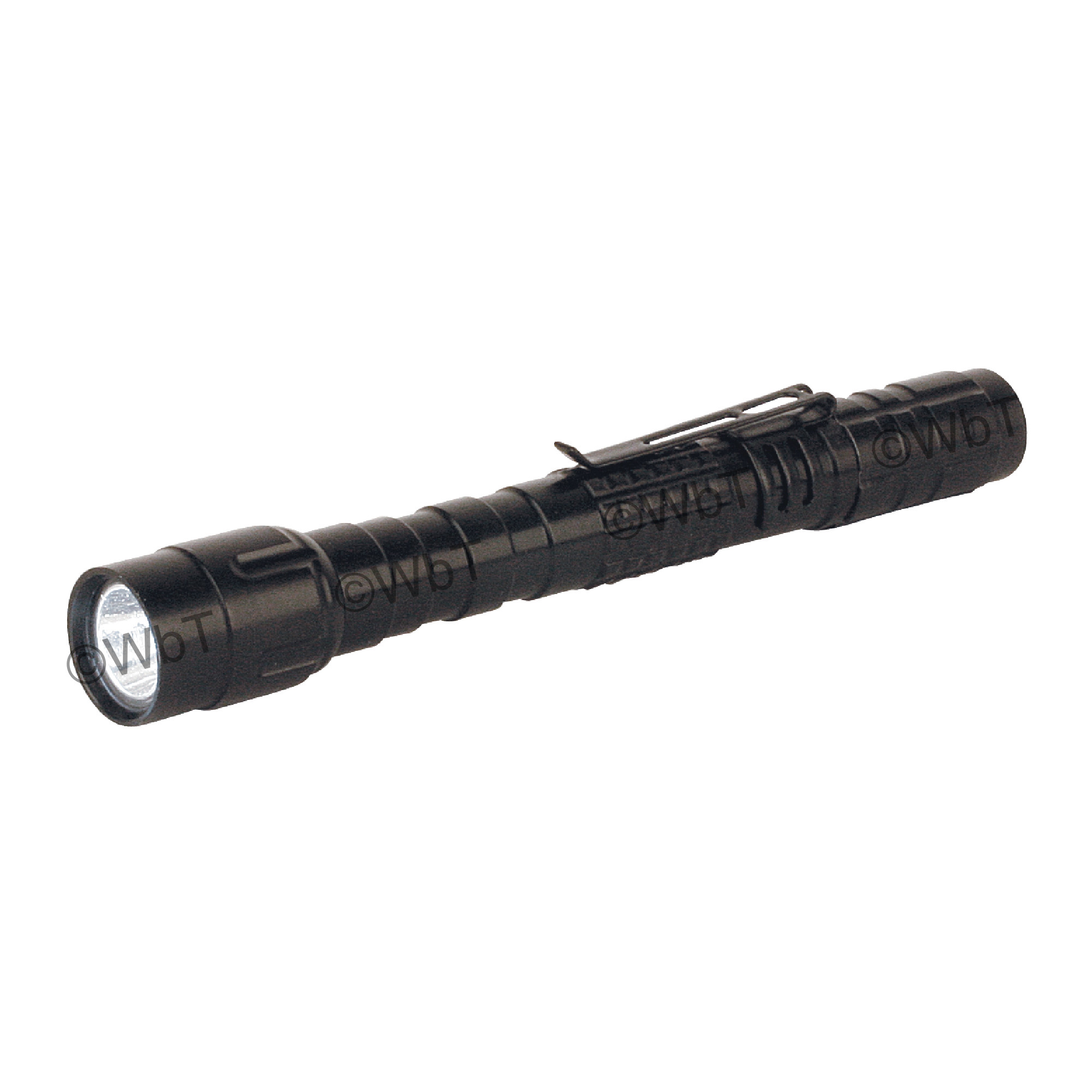 Rebel LED Flashlight With Pen Clip