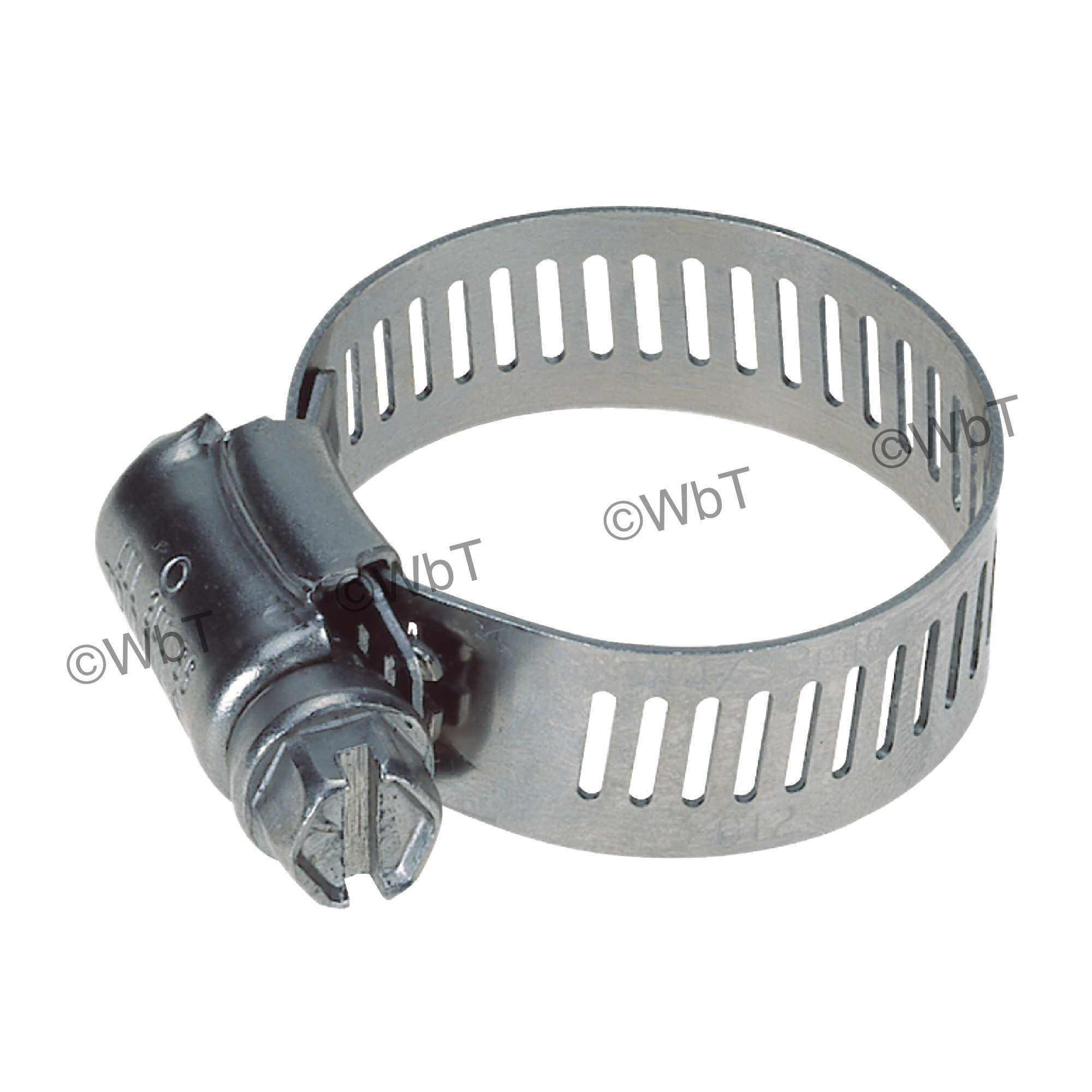 Stainless Steel Worm Drive Hose Clamp